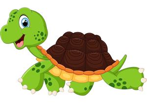 Turtle 